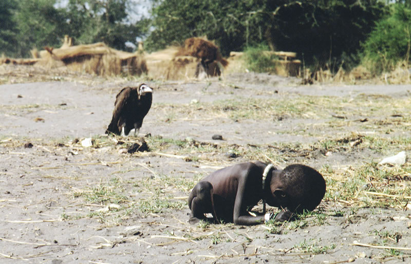  la fillette et le vautour de Kevin Carter