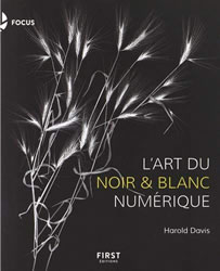 l'art du noir et blanc numerique harold davis