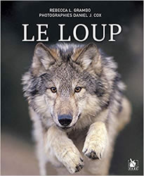 livre le loup rebecca grambo