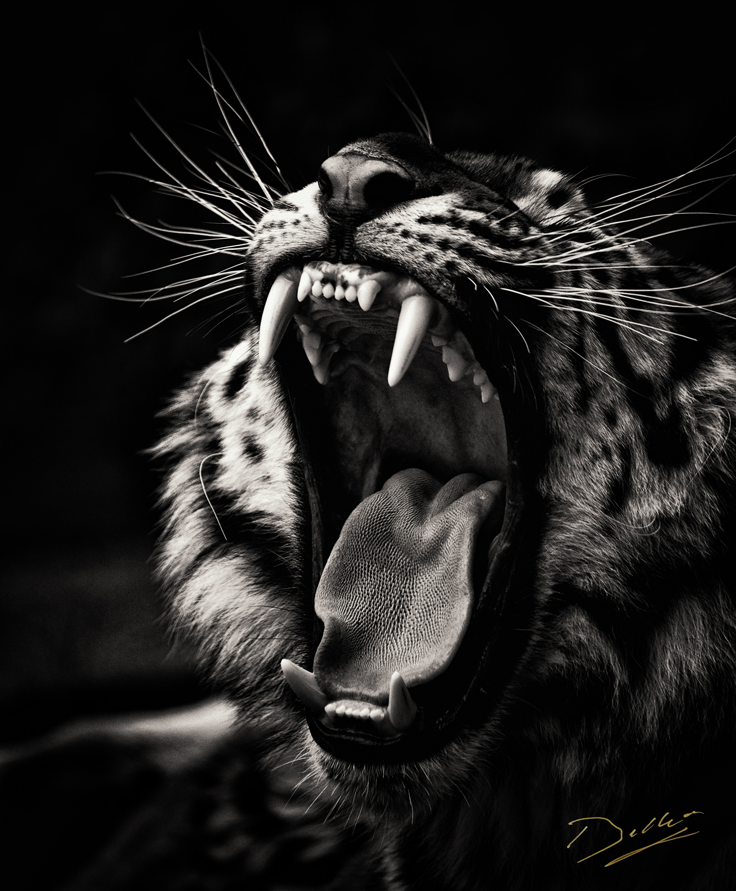 Shere Khan
